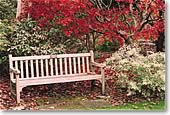 Finnerty gardens