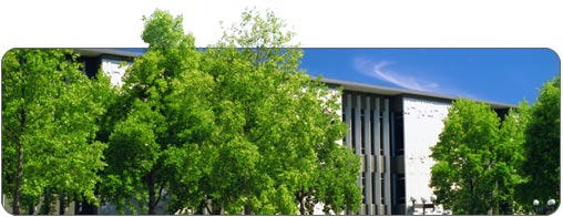 Mearns Centre for Learning