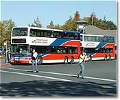 UVic Bus Exchange