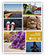 American Student Viewbook icon
