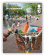 Canadian Viewbook icon
