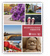 Chinese Student Viewbook icon