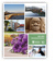 International Viewbook icon