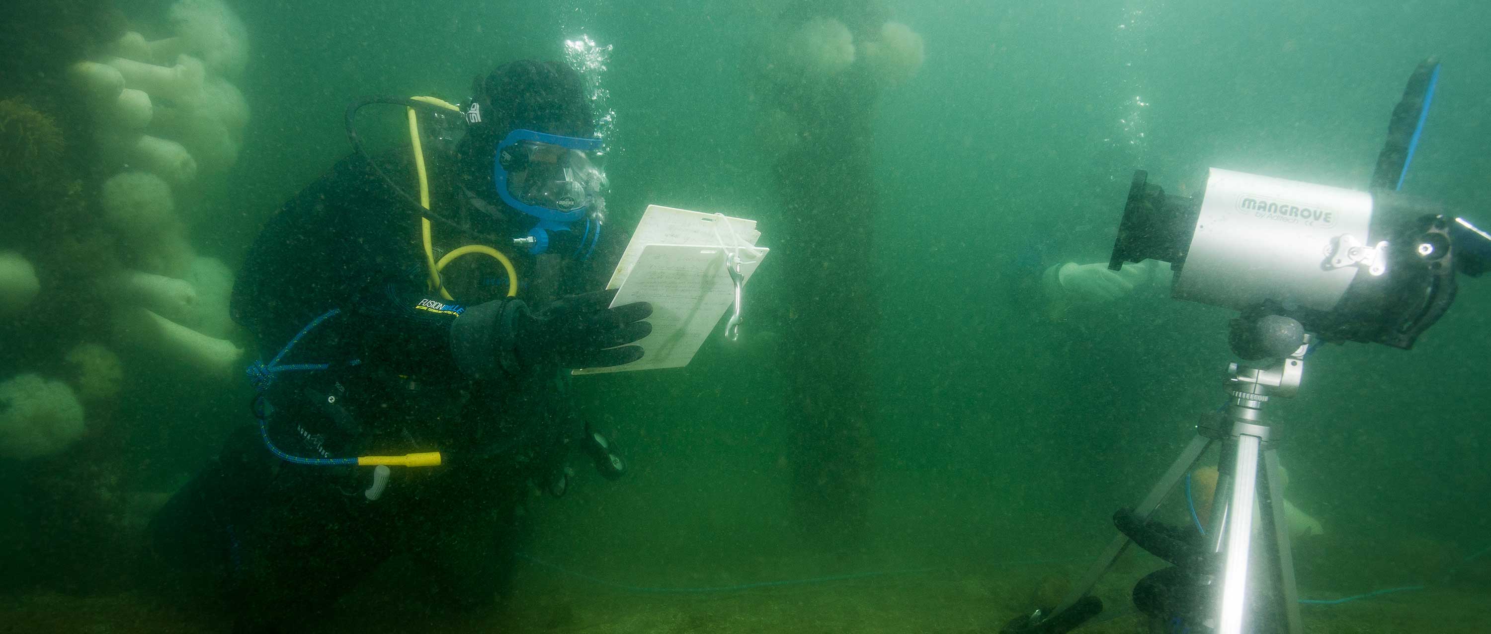 Underwater student
