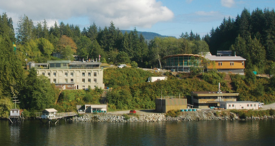 The Bamfield centre has grown substantially since 1969.