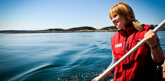 There are many opportunities to work locally in the tourism sector.
