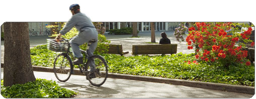 Cyclist on campus