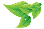 green leaf image 
