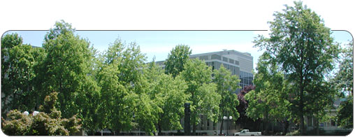 Campus photograph