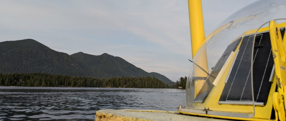 View from a WatchMate buoy near Tofino. Photo by Chloe Immonen.