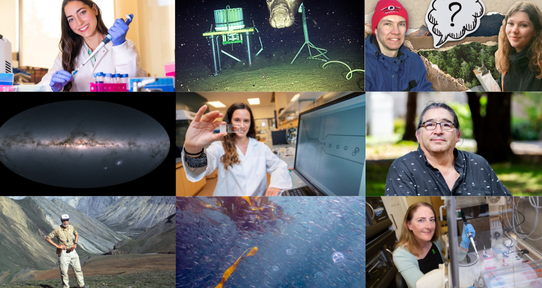 Collage of images from within the story