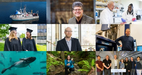 Composite of images from the 2025 year in review