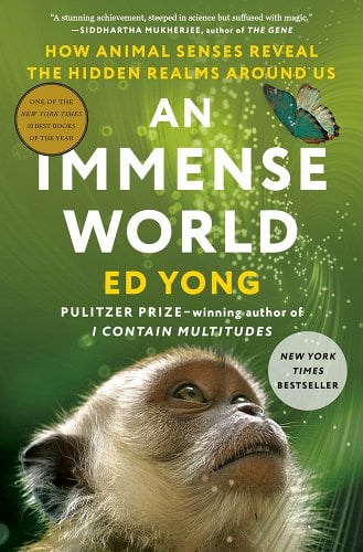 The cover of An Immense World