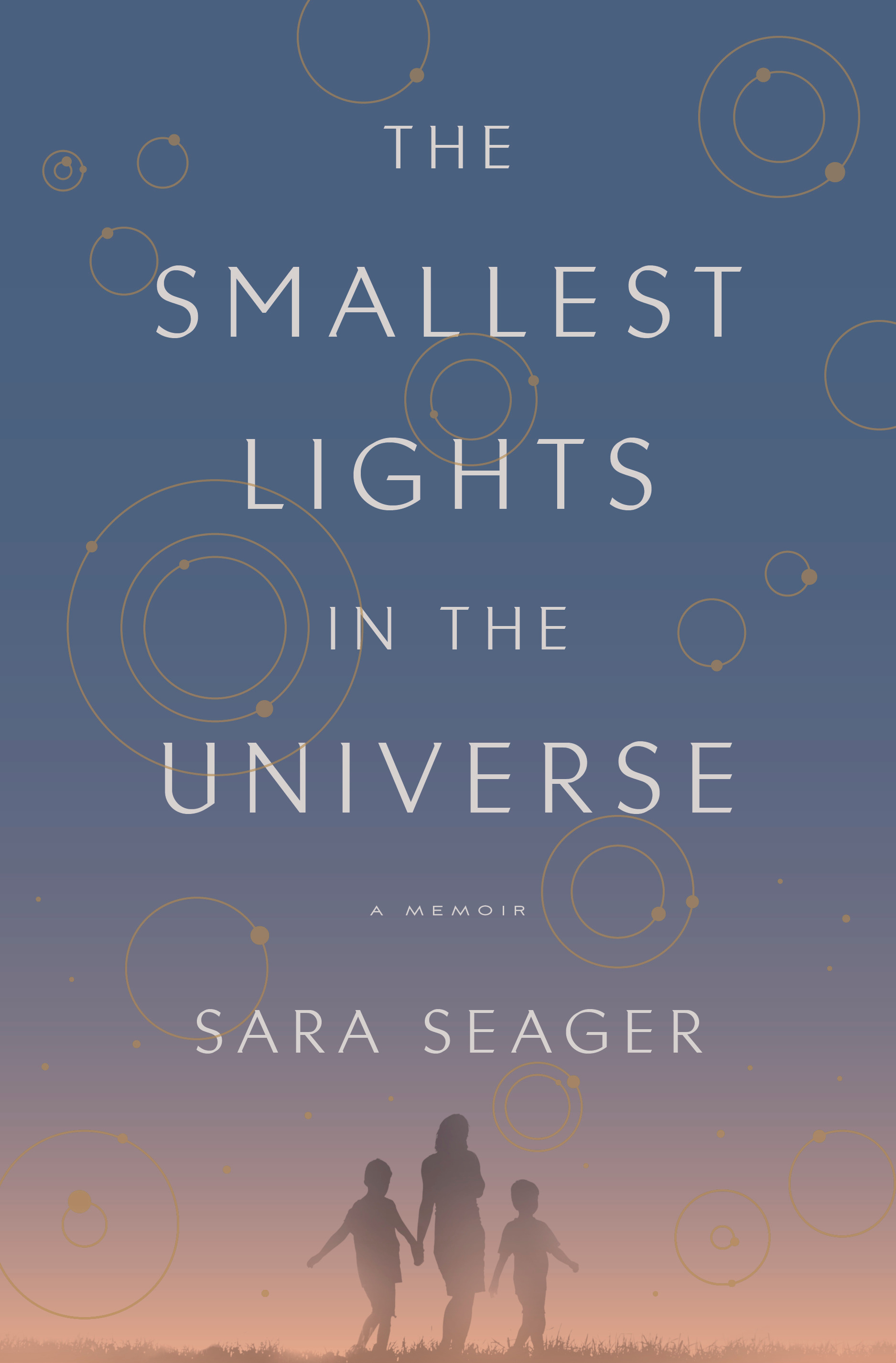 The cover of The Smallest Lights