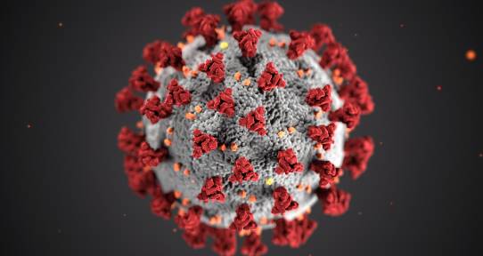 A close up of the COVID-19 virus, a spike protein