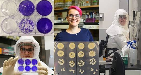 Collage of images including: Layout of six purple petri dishes; headshot of Mariya Goncheva, a female with glasses and short pink hair; Goncheva at a fume hood in a PPE suit; a close-up of a petri dish; close-up of Goncheva in a PPE suit holding six purple petri dishes