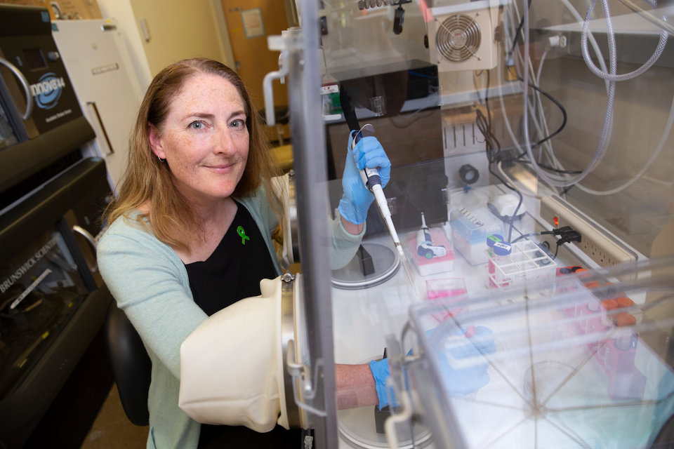 Caroline Cameron pipetting in the glove box