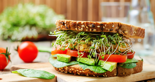 sprout sammy