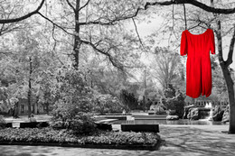 A red dress hangs from a tree in a black and white landscape.