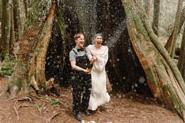 Two people celebrating and popping a bottle of champagne in front of a large, hollowed out tree in the woods. 