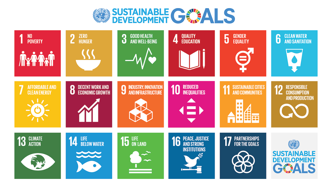 Dashboard mapping the SDGs training work on campus