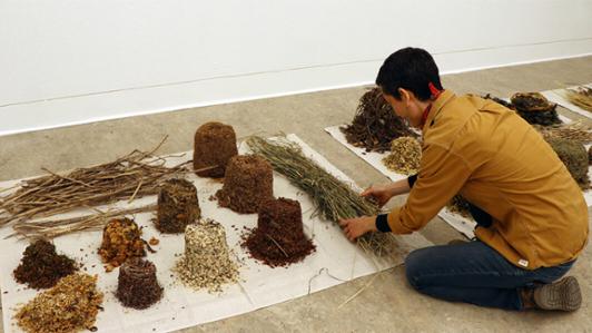 A UVic student organizes piles of seeds and grass on a white sheet.