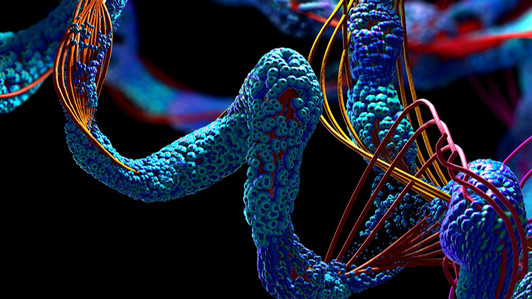microscopic view of proteins
