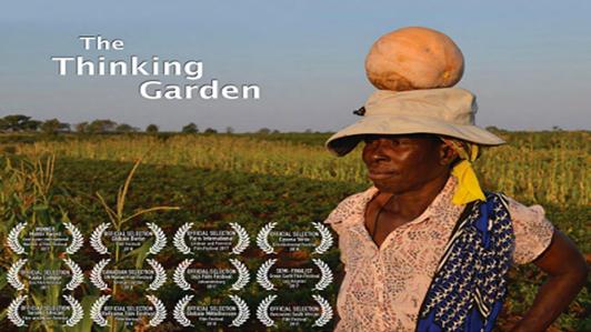 Poster of the movie "The Thinking Garden", with a picture a female farmer in a corn field in South Africa with a pumpkin on top of her hat. The poster includes logos of twelve festival selections and film awards.
