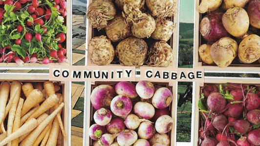 Photo of a six wooden crates filled with fresh produce (carrots, beetroots, radish, etcetera) with the legend: "Community Cabbage"