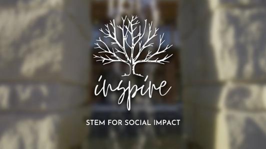 Logo of the project with a tree without leaves and the text: "Inspire. STEM for social impact"
