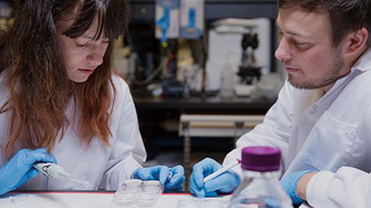 Stock image of a female and a male UVic students manipulating samples in a lab