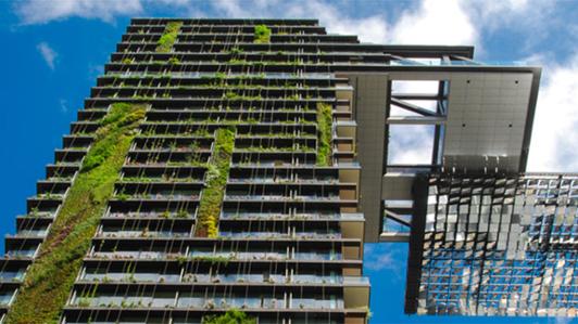 Photo of a modern tall building with green vegetation covering its façade