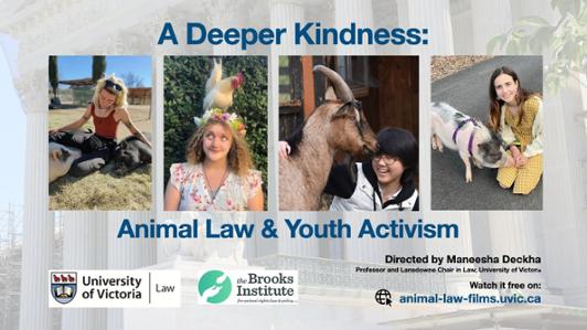 Poster of an event with four individual photos of young females engaging with animals (goat, pigs, rooster), with the text: "A Deeper Kindness: Animal Law & Youth Activism. Directed by Maneesha Deckha, Professor and Lansdowne Chair in Law, University of Victoria. Watch it free on: animal-law-films.uvic.ca" ant the logos of the UVic's Faculty of Law  and the Brooks Institute"