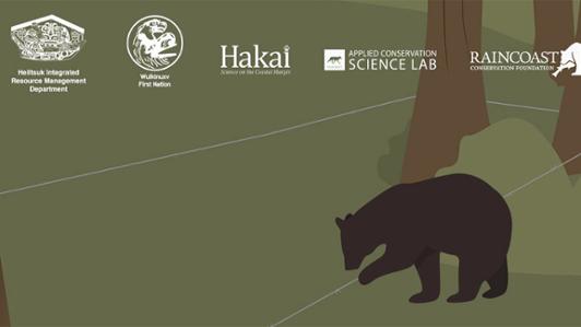 Poster of the Bear project with a digital art of a bear walking on the forest, and the logos of the partners: "Heilsuk Integrated Resource Management Department, Wuikinuxv First Nation, Hakai Science on the Coastal Margin, and Rain Coast Applied Conservation Lab"