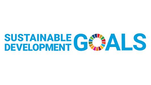 Logo of the United Nations Sustainable Development Goals with the wheel depicting  seventeen colours, one for each goal