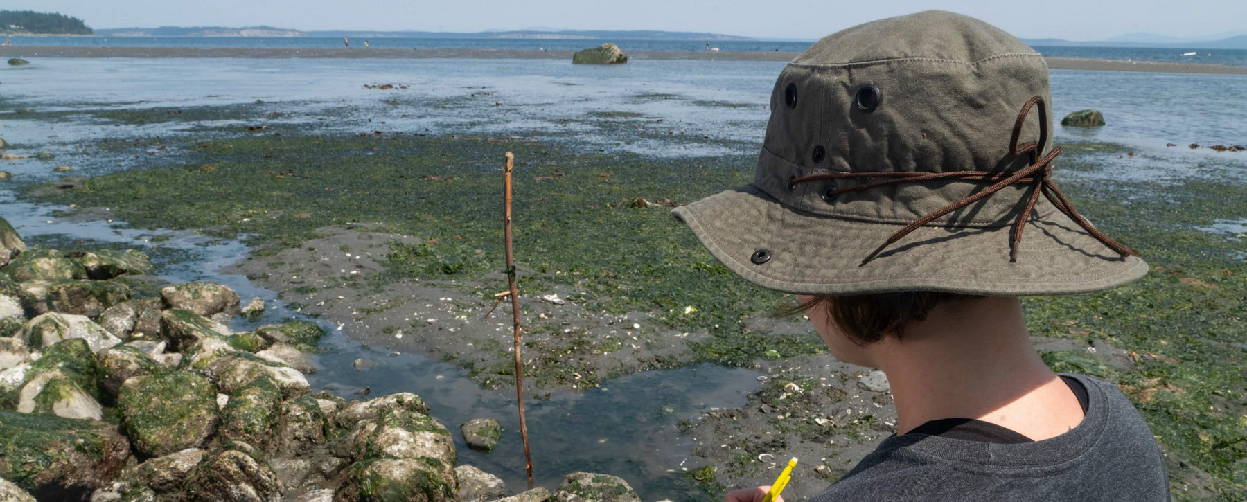 A researcher surveys an ancient coastal city.