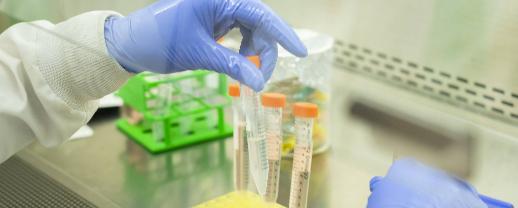 Someone in lab gloves manipulates samples in test tubes.