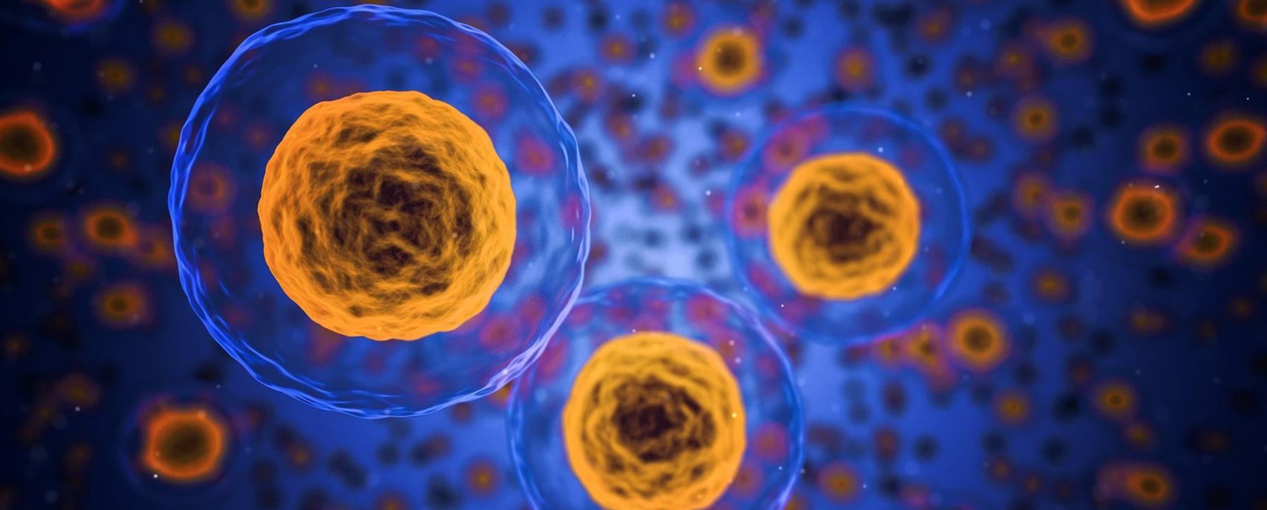 close up of cells