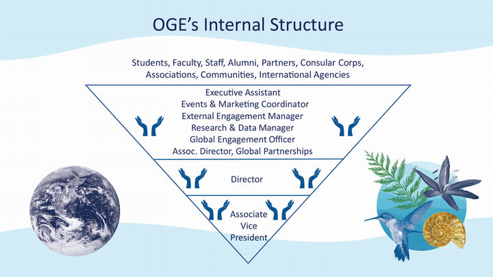 Diagram of the internal structure of the Office of Global Engagement depicting the governance structure with an inverted triangle, having the Uvic community at the top and the AVP Global Engagement at the bottom