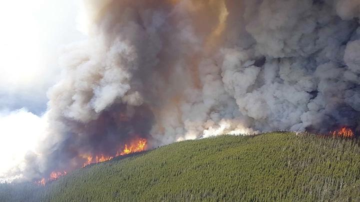 forest fire on hillside