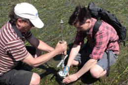 Uvic prof and Ocean Networks Canada student assessing blue carbon a Cowichan Valley marsh.  