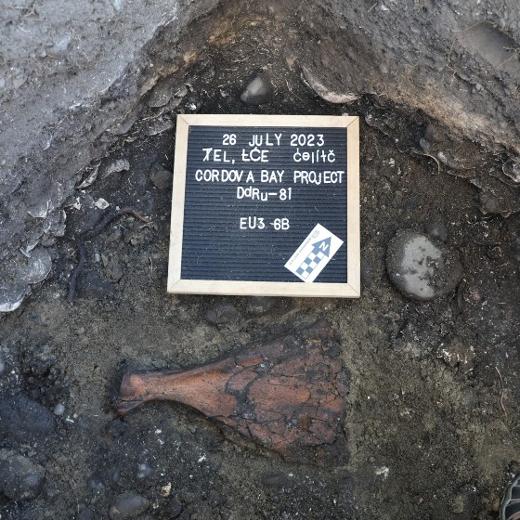 Close up of archaeological dig at Cordova Bay