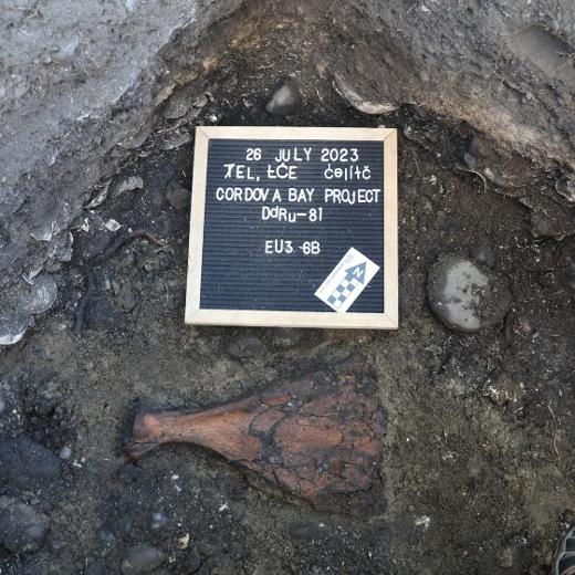 Close up of archaeological dig at Cordova Bay
