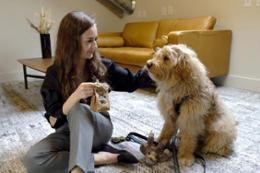 UVic student Danielle sits on the ground, petting a fluffy golden dog