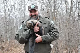 Dr. Jason Fisher holds a female fisher wearing a gps collar in the woods.