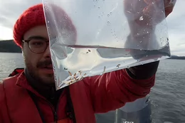 Researcher wearing a toque and glasses holds a bag of salmon stomach contents in front of their face while in a boat.