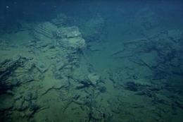 Underwater basalt field located in Endeavour area, 2011.