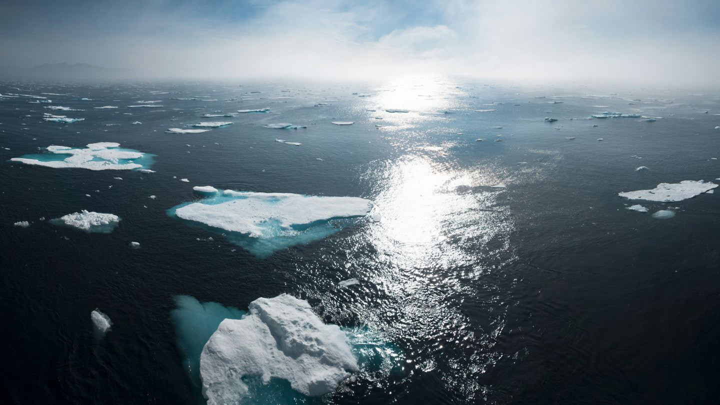 northern sea with ice floes