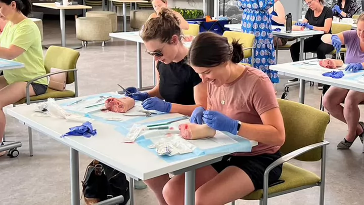 Students at tables wearing gloves and practicing medical suturing on animal parts