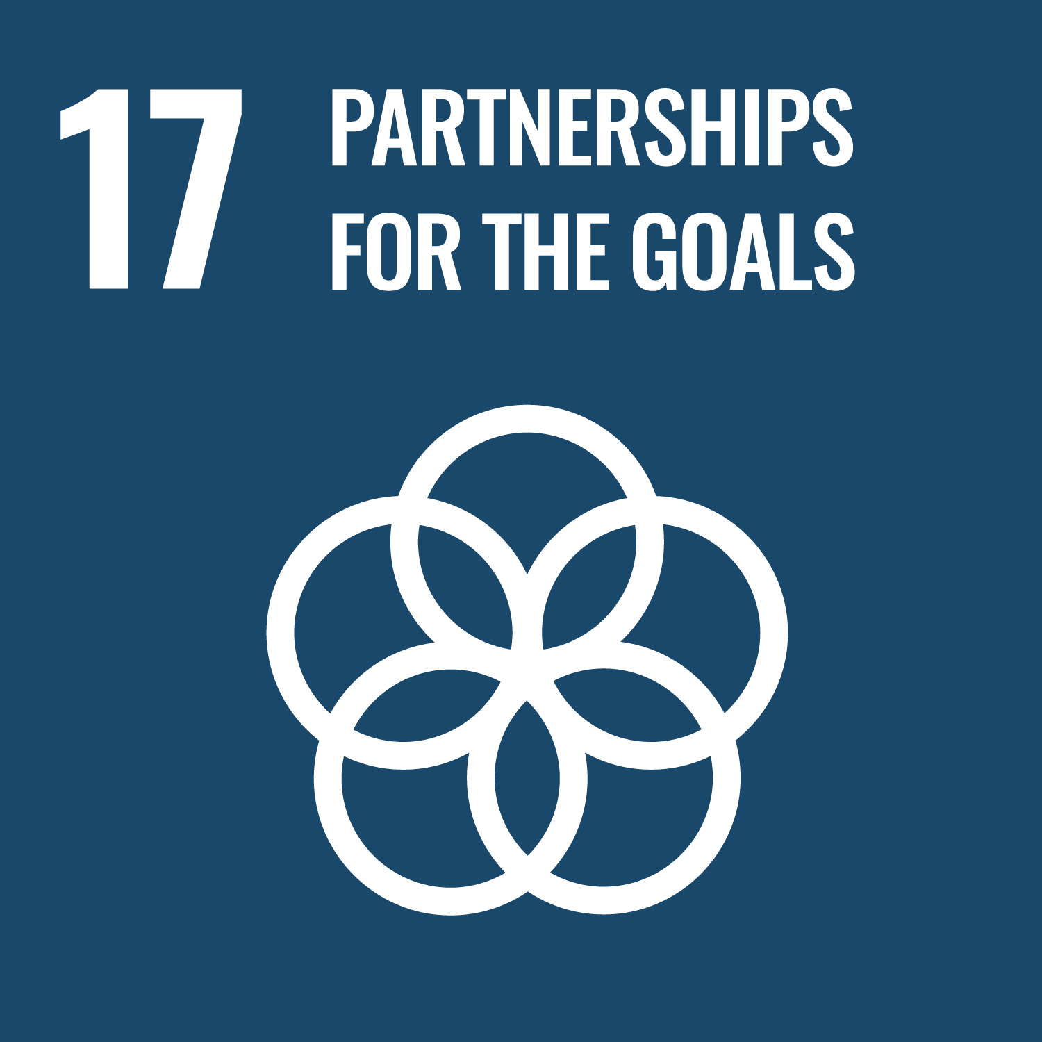 Sustainable Development Goal 17: Partnerships for the goals